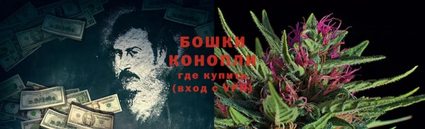 стаф Гусиноозёрск