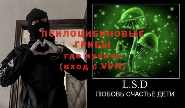 кокс Гусев
