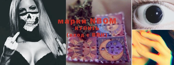 стаф Гусиноозёрск