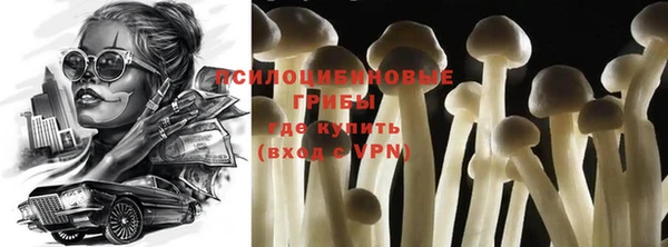 кокс Гусев