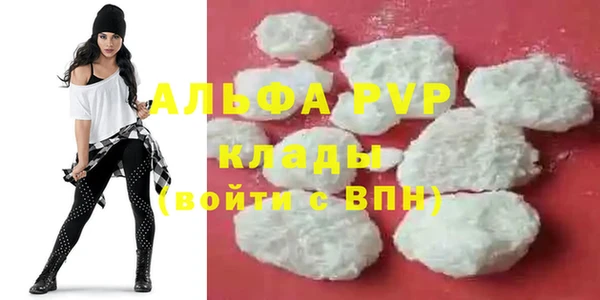 стаф Гусиноозёрск