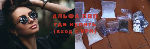 стаф Гусиноозёрск