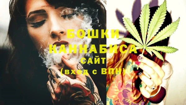 стаф Гусиноозёрск