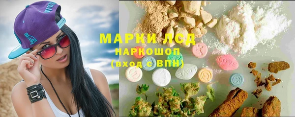 кокс Гусев