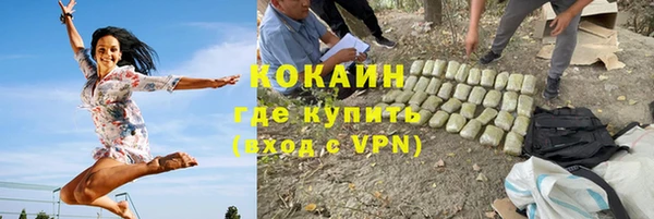 кокс Гусев