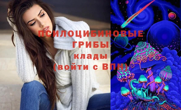стаф Гусиноозёрск