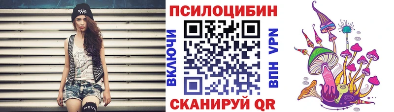 Купить где  Каменногорск  Галлюциногенные грибы Psilocybine cubensis 